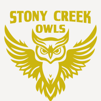 School Owls 04 Thumbnail