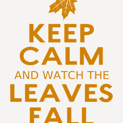 Fall Season 04 Thumbnail